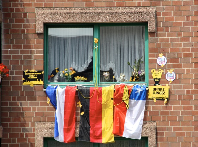 我們看到 我們看到