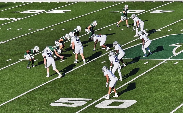 这无疑为佛 这无疑为佛