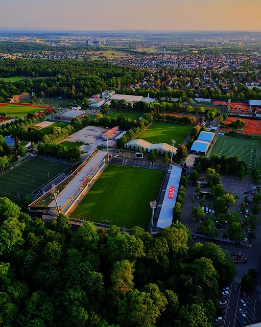 尤其是在青 尤其是在青