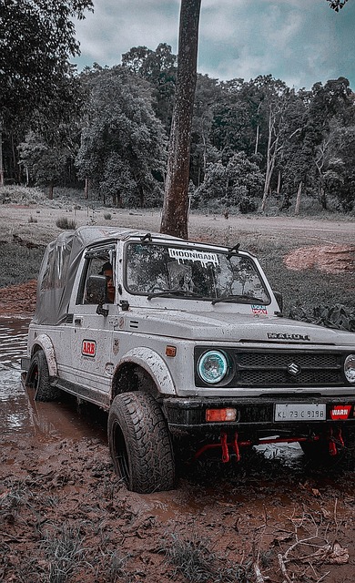 了意甲乃至 了意甲乃至