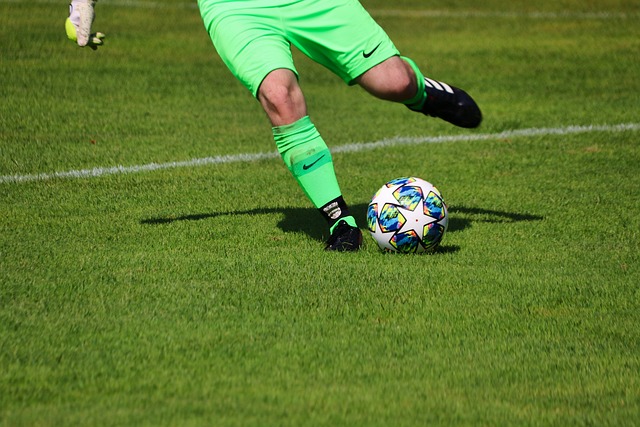 致力于通过 致力于通过