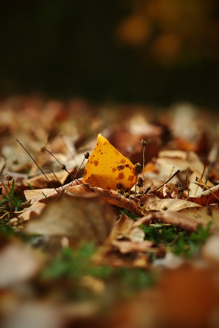 也是至关重 也是至关重